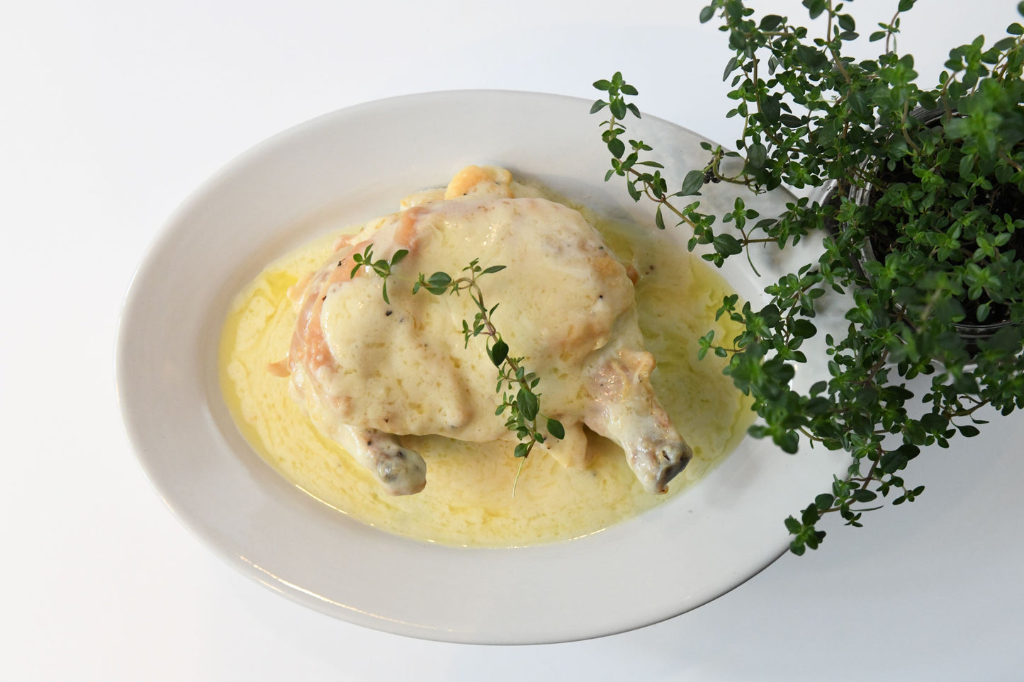 POLLO de Albariños aka CHICKEN VIN BLANC